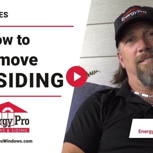 The Best Protection Against Siding Damage from WoodPeckers