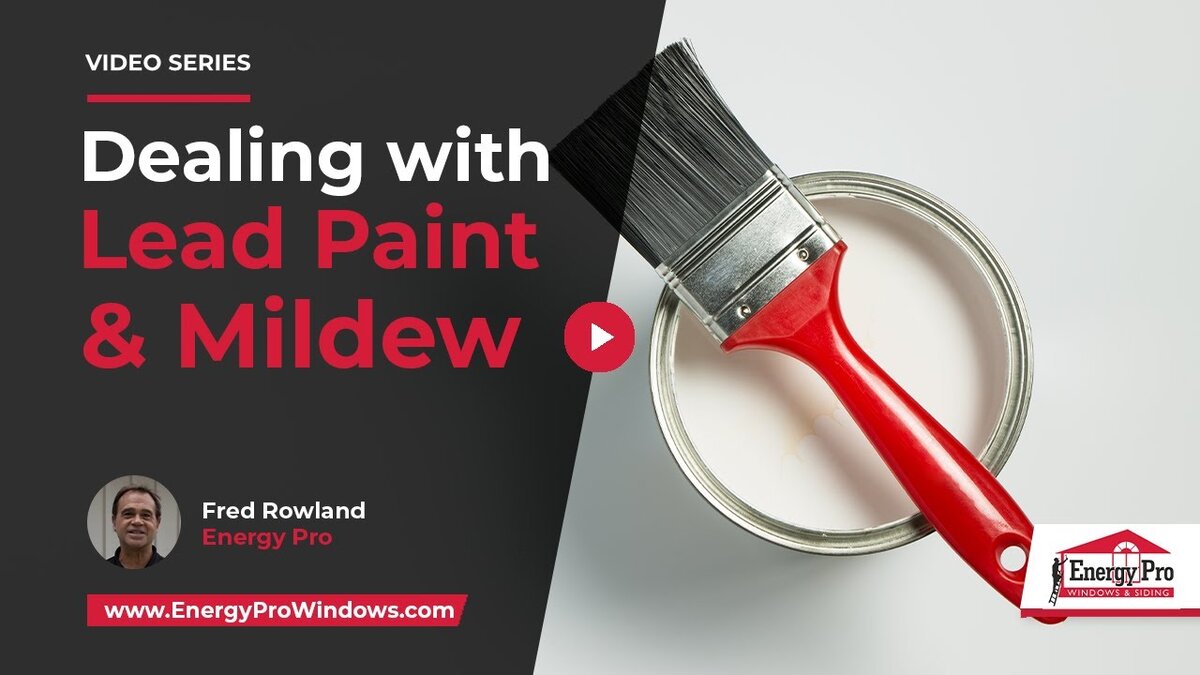 lead paint mold mildew