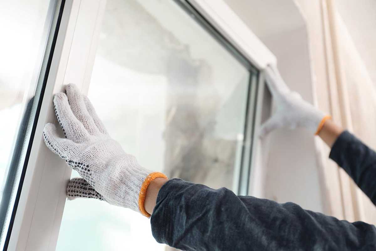 Why Olathe Homes Need the Right Replacement Windows - Image 1