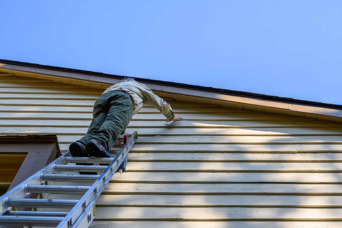best low-maintenance siding